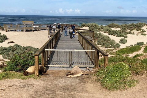 Kangaroo Island 4WD Tour - Best Of KI - Pubs Adelaide 2