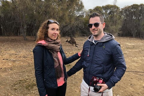 Kangaroo Island 4WD Tour - Best Of KI - Pubs Adelaide 3