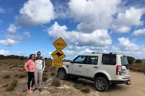Kangaroo Island 4WD Tour - Best Of KI - Pubs Adelaide 5