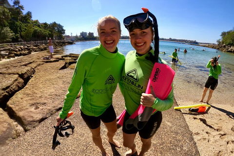 Manly Snorkel Trip And Nature Walk With Local Guide - Pubs Adelaide 1