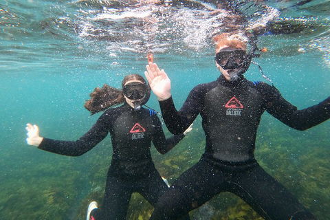 Manly Snorkel Trip And Nature Walk With Local Guide - Pubs Adelaide 3