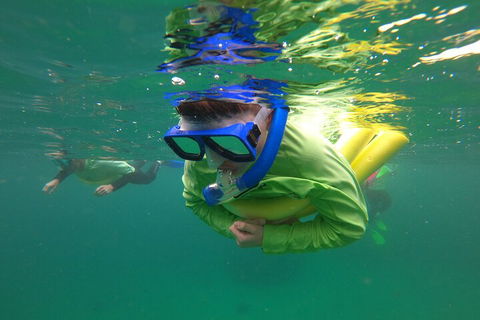 Manly Snorkel Trip And Nature Walk With Local Guide - Pubs Adelaide 5