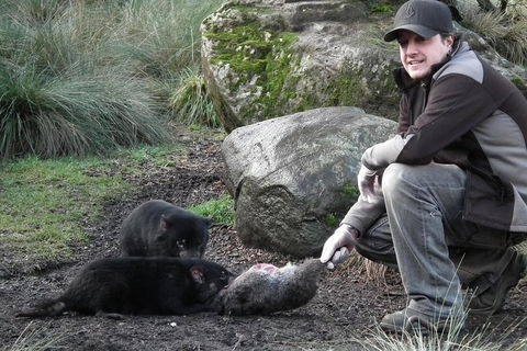 After Dark Tasmanian Devil Feeding Tour At Cradle Mountain - Pubs Adelaide 2