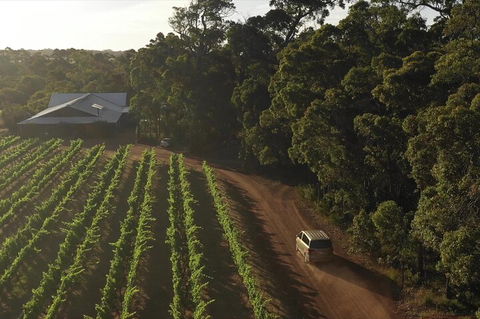 The All About Margaret River Tour: Wine, Coffee, Lunch And Forest - Pubs Adelaide 1