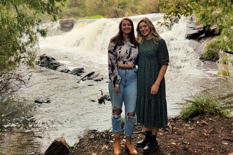 The All About Margaret River Tour: Wine, Coffee, Lunch And Forest - Pubs Adelaide 2