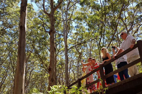 The All About Margaret River Tour: Wine, Coffee, Lunch And Forest - Pubs Adelaide 3