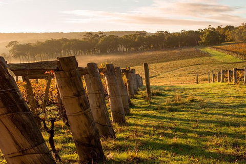 The All About Margaret River Tour: Wine, Coffee, Lunch And Forest - Pubs Adelaide 5