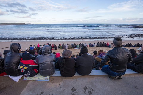 Full-Day Bus Tour Phillip Island Wildlife And Brighton Beach - Pubs Adelaide 1