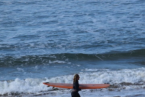 Full-Day Bus Tour Phillip Island Wildlife And Brighton Beach - Pubs Adelaide 3