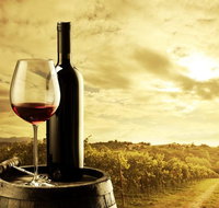 Barossa Valley Cellar Doors Luxury Wine Tour - Pubs Adelaide