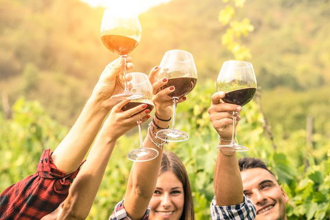 Barossa Valley Cellar Doors Luxury Wine Tour - Pubs Adelaide 1