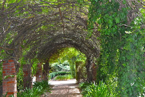 Barossa Valley Cellar Doors Luxury Wine Tour - Pubs Adelaide 3