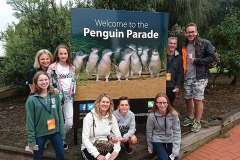 Phillip Island Medium Size Group Tour - Pubs Adelaide 5