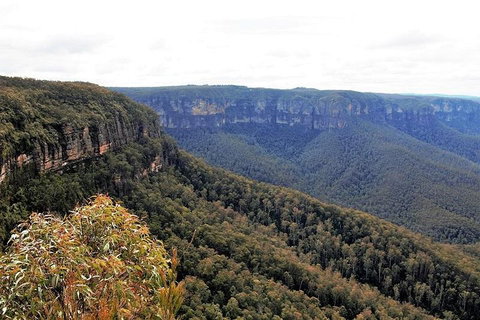 Blue Mountains - Pubs Adelaide 3