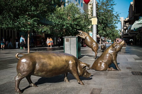 Guided Walking Tour In Adelaide - Pubs Adelaide 4