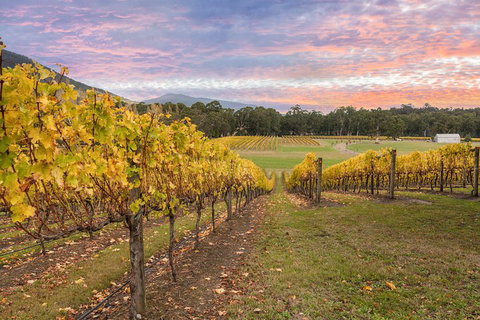 Yarra Valley Boutique Winery Tour From Melbourne - Pubs Adelaide 3