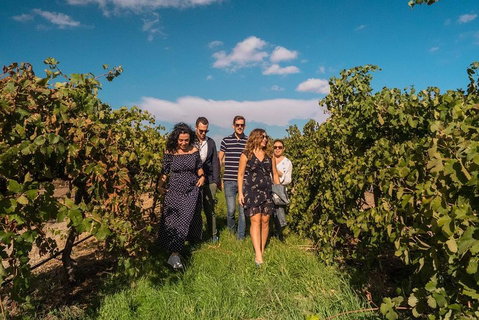 Barossa Valley Private Tour (from 2 To 11 People) - Pubs Adelaide 0