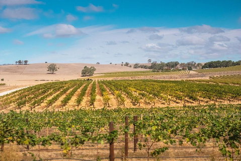 Barossa Valley Private Tour (from 2 To 11 People) - Pubs Adelaide 2