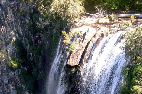 Byron Bay Combo: Hinterland Tour Including Minyon Falls And Kayaking With Dolphins - Pubs Adelaide 3