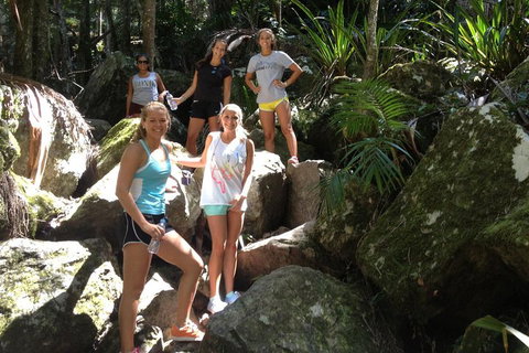 Byron Bay Combo: Hinterland Tour Including Minyon Falls And Kayaking With Dolphins - Pubs Adelaide 4