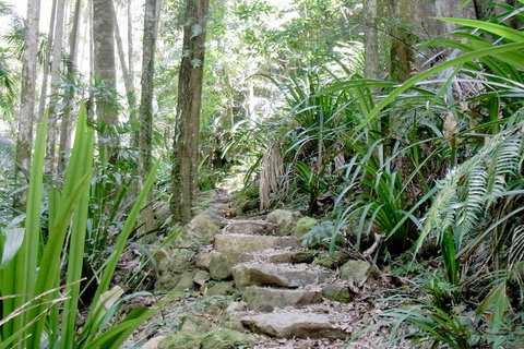 Byron Bay Combo: Hinterland Tour Including Minyon Falls And Kayaking With Dolphins - Pubs Adelaide 5