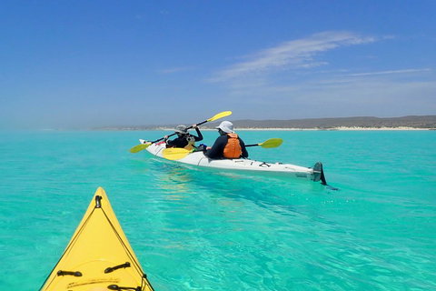 Lagoon Explorer - Ningaloo Reef Full-Day Kayaking And Snorkeling Adventure - Pubs Adelaide 0
