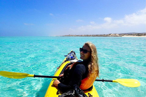 Lagoon Explorer - Ningaloo Reef Full-Day Kayaking And Snorkeling Adventure - Pubs Adelaide 1