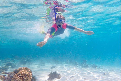 Lagoon Explorer - Ningaloo Reef Full-Day Kayaking And Snorkeling Adventure - Pubs Adelaide 5