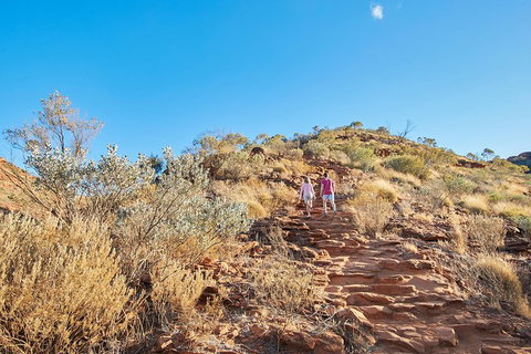Kings Canyon Guided Rim Walk - Pubs Adelaide 1