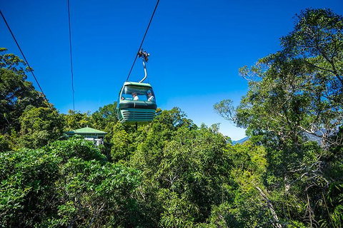 Skyrail Rainforest Cableway Day Trip From Cairns - Pubs Adelaide 1