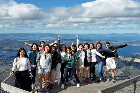 Mt Field National Park Active Day-Trip Including Bonorong And Mt Wellington - Pubs Adelaide 2