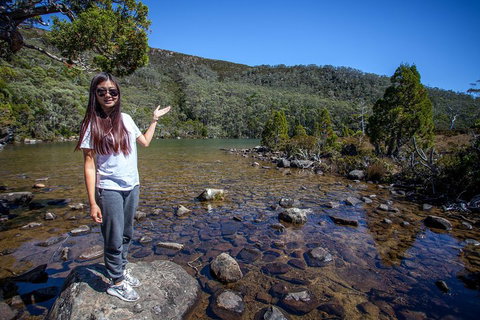 Mt Field National Park Active Day-Trip Including Bonorong And Mt Wellington - Pubs Adelaide 4