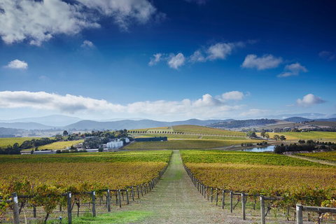Yarra Valley Wine And Wildlife Self-Driving Tour - Pubs Adelaide 1