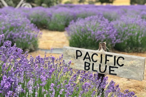 Kangaroo Island Food And Wine Trail Tour - Pubs Adelaide 0