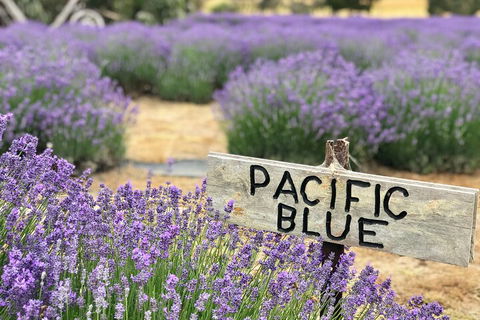 Kangaroo Island Half Day Food And Wine Trail Tour - Pubs Adelaide 5