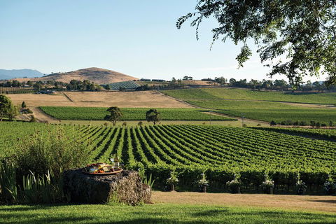 Small Group 6 Guests: Ultimate Yarra Valley Food And Wine - Mercedes Van - Pubs Adelaide 4