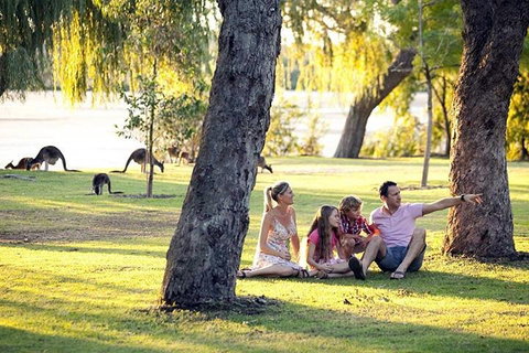 Full-Day Pinnacles Desert And Yanchep National Park Tour From Perth - Pubs Adelaide 3