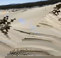 Port Stephens Bush Beach and Sand Dune 4WD Tag-Along Tour - Pubs Adelaide