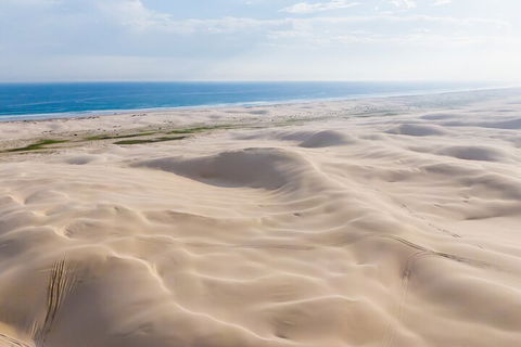Port Stephens Bush, Beach And Sand Dune 4WD Passenger Tour - Pubs Adelaide 2