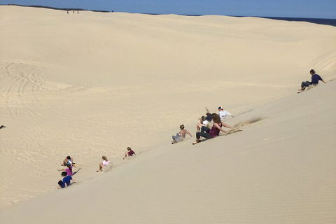 Port Stephens Bush, Beach And Sand Dune 4WD Passenger Tour - Pubs Adelaide 4