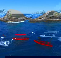 3-Hour Byron Bay Certified Scuba Diving Tour - Pubs Adelaide