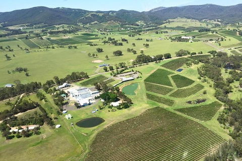 Helicopter Tour Of Hunter Valley In New South Wales With Lunch - Pubs Adelaide 4
