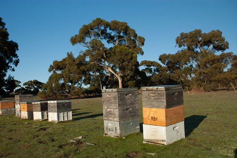 Fine Flavours - Full Day Kangaroo Island Food & Wine Tour - Pubs Adelaide 1