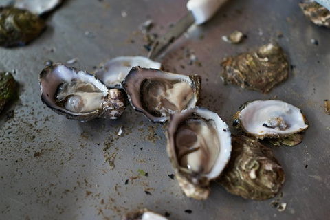 Fine Flavours - Full Day Kangaroo Island Food & Wine Tour - Pubs Adelaide 2