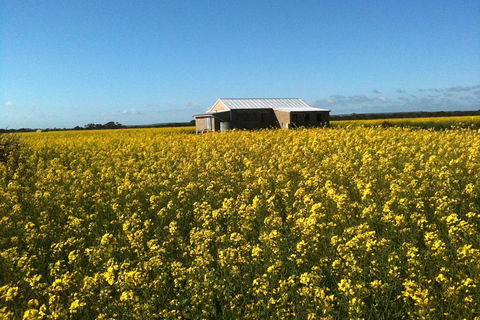 Fine Flavours - Full Day Kangaroo Island Food & Wine Tour - Pubs Adelaide 3