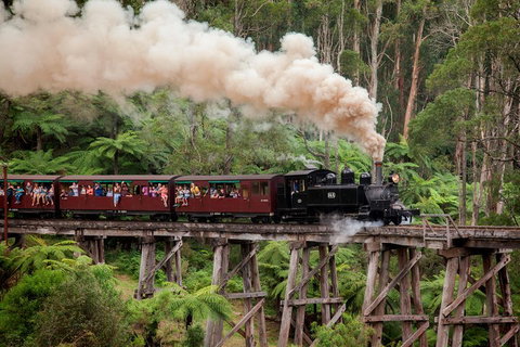 Melbourne Combo: Great Ocean Road, Puffing Billy, Moonlit Sanctuary & Penguins - Pubs Adelaide 1