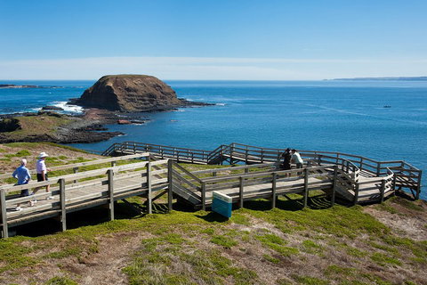 Melbourne Combo: Great Ocean Road, Puffing Billy, Moonlit Sanctuary & Penguins - Pubs Adelaide 5