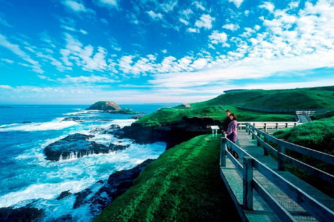 Melbourne Combo: Great Ocean Road + Phillip Island Express + Attraction Pass - Pubs Adelaide 1