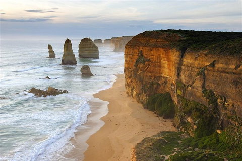 Melbourne Combo: Great Ocean Road + Phillip Island Express + Attraction Pass - Pubs Adelaide 5