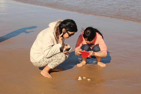 Beach & Dune - Pubs Adelaide 2